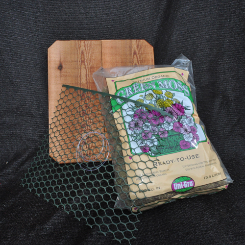 Mounting Boards for Staghorn Ferns